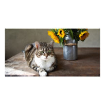 Cat and Sunflowers Picture Card