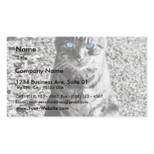 Cat Animal Pet Business Card Templates