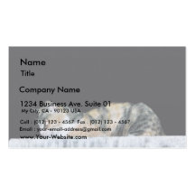 Cat At Night Business Cards