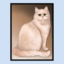 Cat Attitude posters