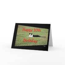 Cat Barney card-customize any occasion