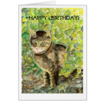 Cat Birthday Card