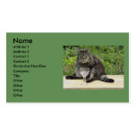 Cat 'Bram' on the table with a wine glass Business Card Template