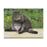 Cat 'Bram' on the table with a wine glass Postcard