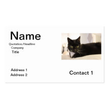 Cat Business Card