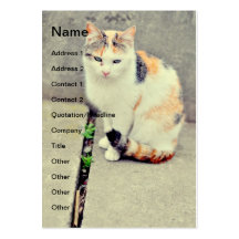 Cat Business Card