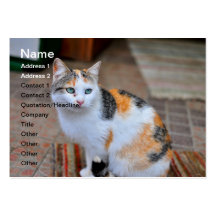 Cat Business Card