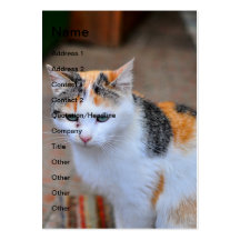 Cat Business Card Template