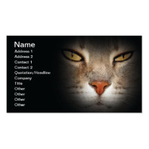 Cat Business Card Templates