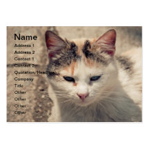 Cat Business Cards