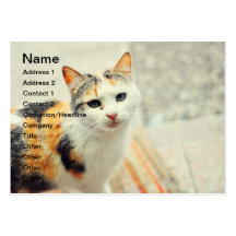 Cat Business Cards
