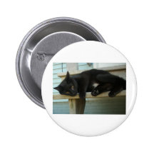 Cat Buttons