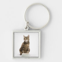 Cat by bowl key chains