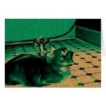 Cat by the Bathtub