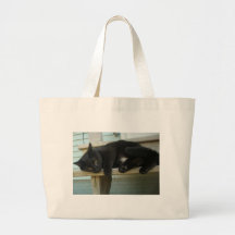 Cat Canvas Bags