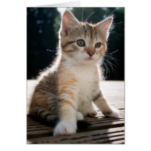 Cat Card