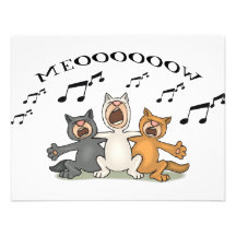 Cat Choir Announcements