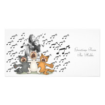 Cat Choir Personalized Photo Card