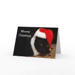 Cat Christmas Greeting Card