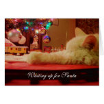 Cat Christmas Greeting Card