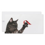 Cat Christmas ribbon photo cards
