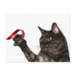 Cat Christmas ribbon Postcard