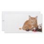 Cat claims Christmas lights Photo Card