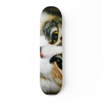 Cat Closeup Skate Board