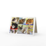 Cat Collage Birthday Card