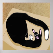 Cat Comfort Comes In A Box Print