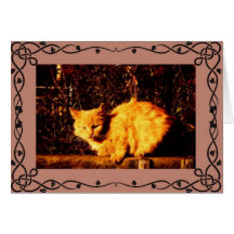Cat Condolence Card
