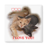 Cat Couple I Love You Magnet