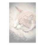 Cat Customized Stationery
