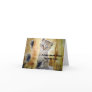 Cat Dog Kitten Puppy Love Romance Greeting Card