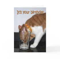 Cat Drinking from Glass Happy Birthday Card