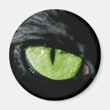 Cat eye fridge magnet