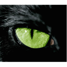 Cat eye photo cut outs