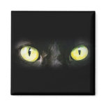 Cat Eyes, Black and Yellow Stare magnets
