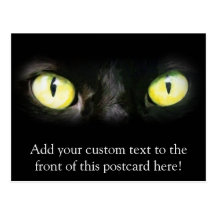 Cat Eyes, Black and Yellow Stare Postcards