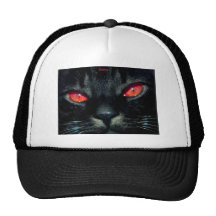 Cat eyes.jpg pet met netje