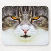 cat eyes mousepads