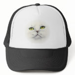 cat face trucker hats
