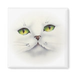 cat face refrigerator magnets