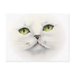 cat face post cards