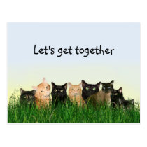Cat family get together postcards