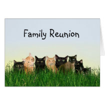 Cat family reunion cards