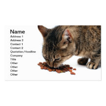 Cat feeding business cards