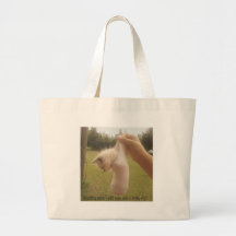 Cat Fly Bag