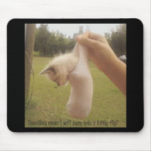 Cat Fly Mouse Pads