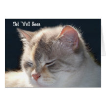 Cat Get Well Card
